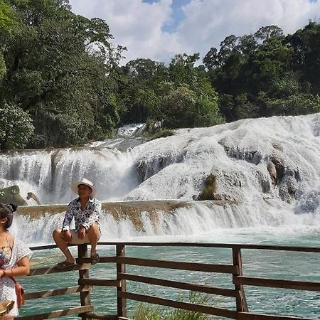 Posada Tzeltal Arroyo Agua Azul Bagian luar foto