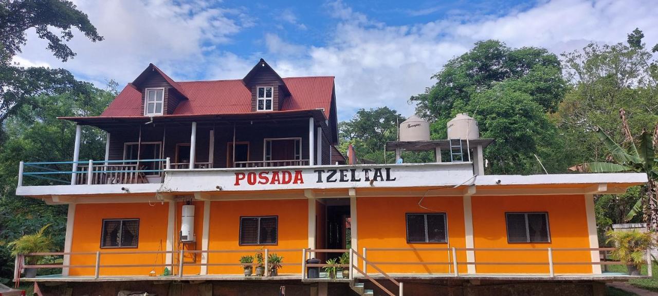 Posada Tzeltal Arroyo Agua Azul Bagian luar foto