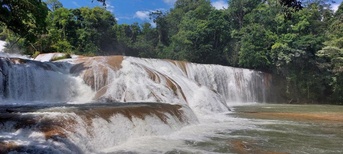 Posada Tzeltal Arroyo Agua Azul Bagian luar foto